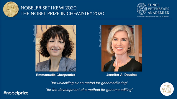 2020 Nobel Prize in Chemistry