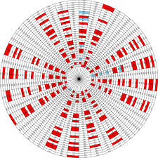 Some interesting properties about some prime numbers
