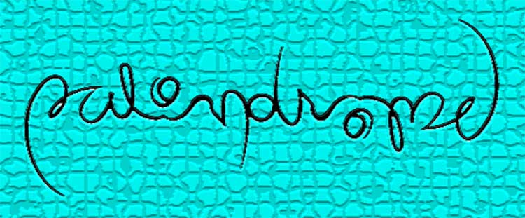 পেলিনড্ৰম সংখ্যা (Palindrome Number)