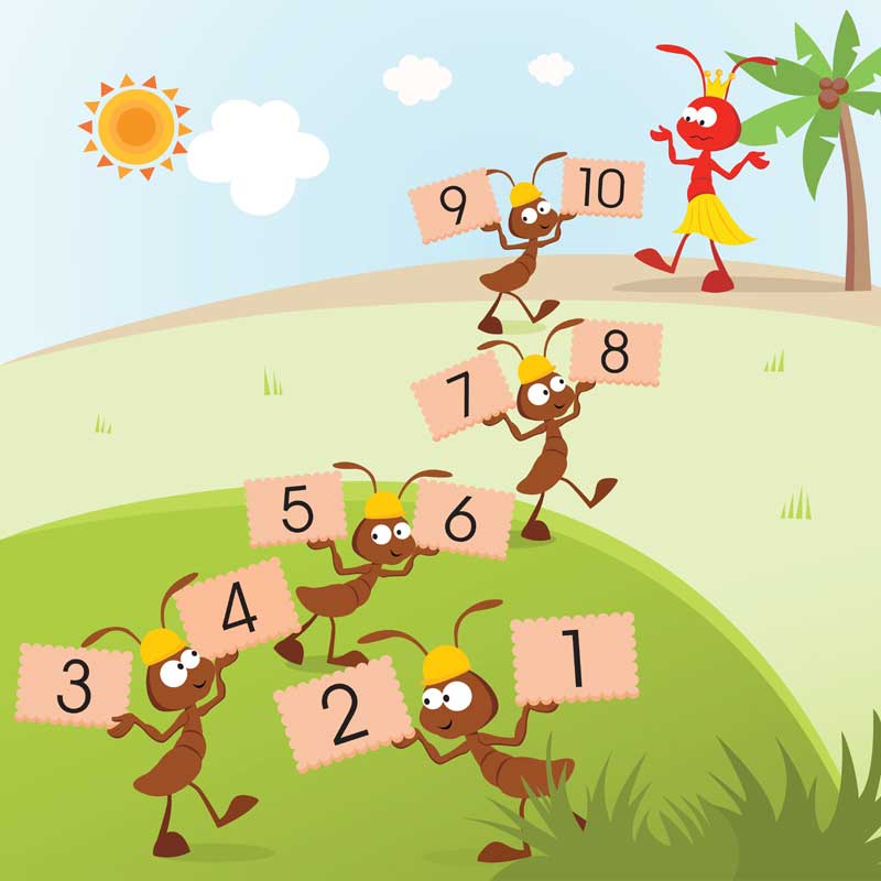What number should come next