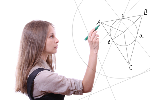 My Experience at the International Mathematical Olympiad Training Camp, 2015