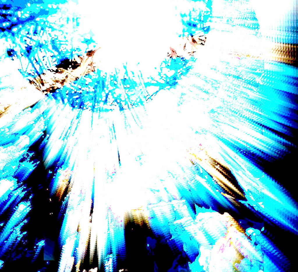 The Quantum Reality!